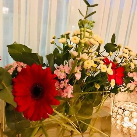 Hotel Vierjahreszeiten Flachau