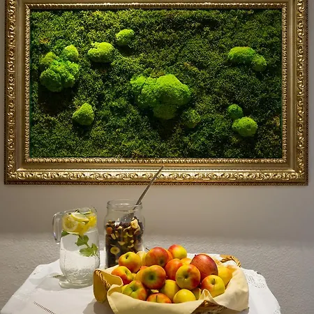 Vierjahreszeiten Hotel